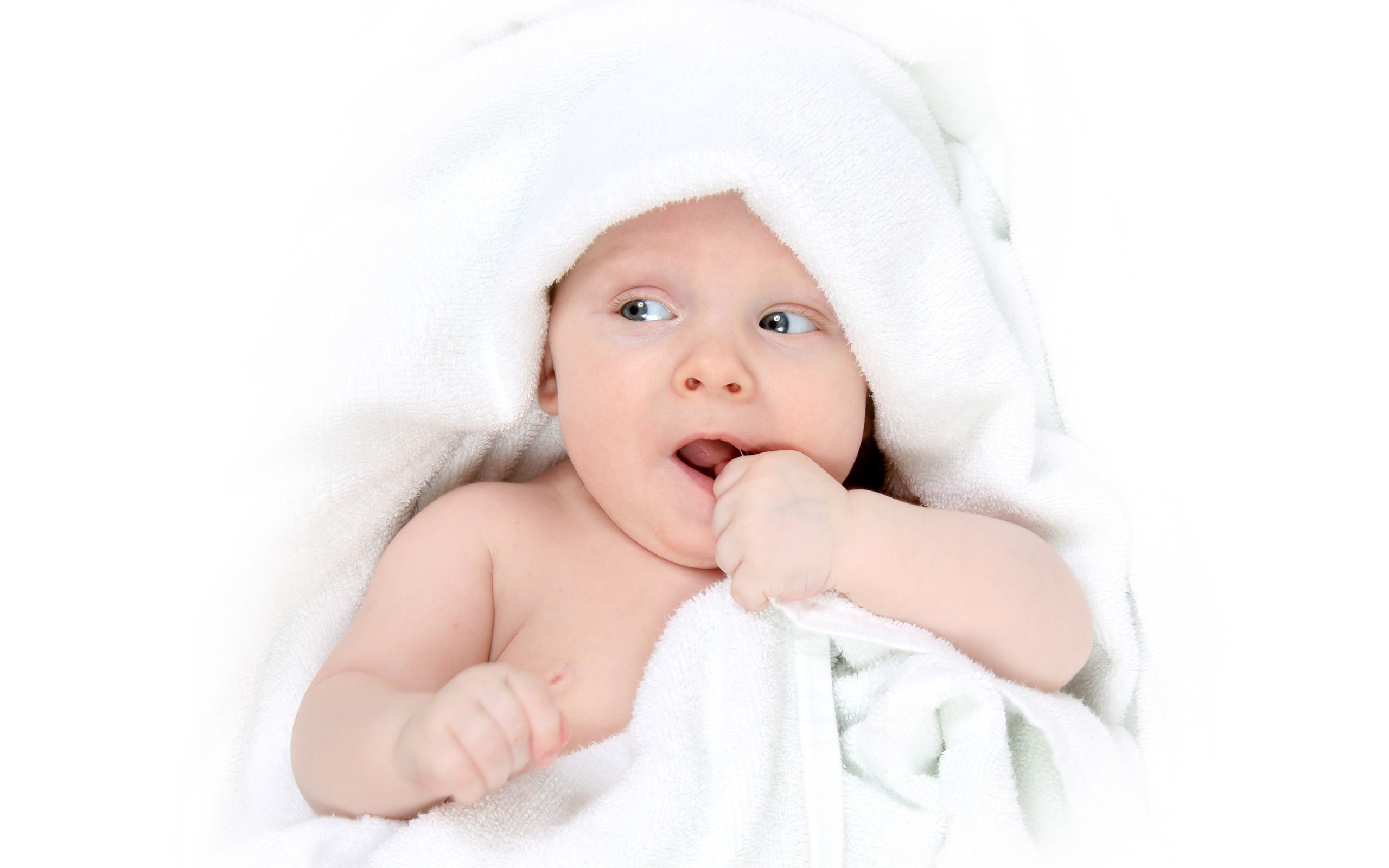 供卵公司机构2016年试管婴儿成功率